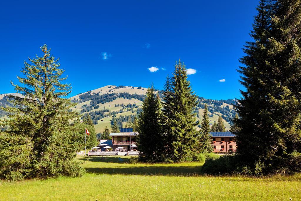 Saanewald Lodge Saanenmöser Zewnętrze zdjęcie